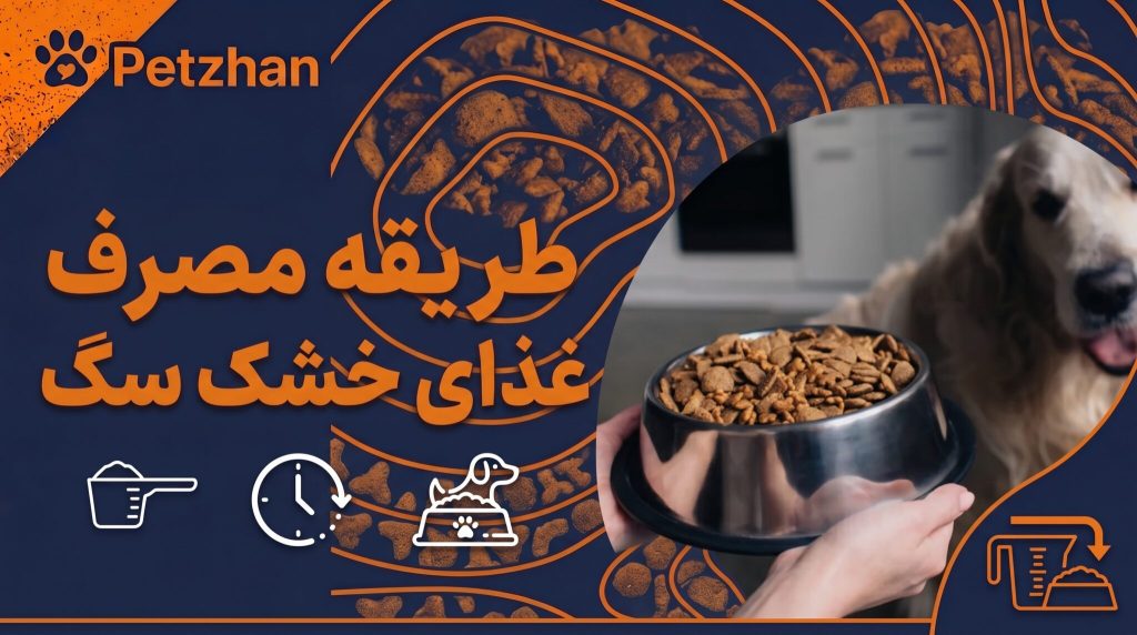 بهترین گره‌ باز کن موی سگ؛ راهنمای کامل انتخاب و استفاده