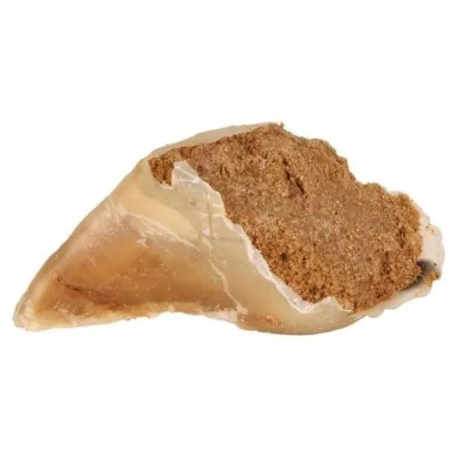 سم پر شده با گوشت