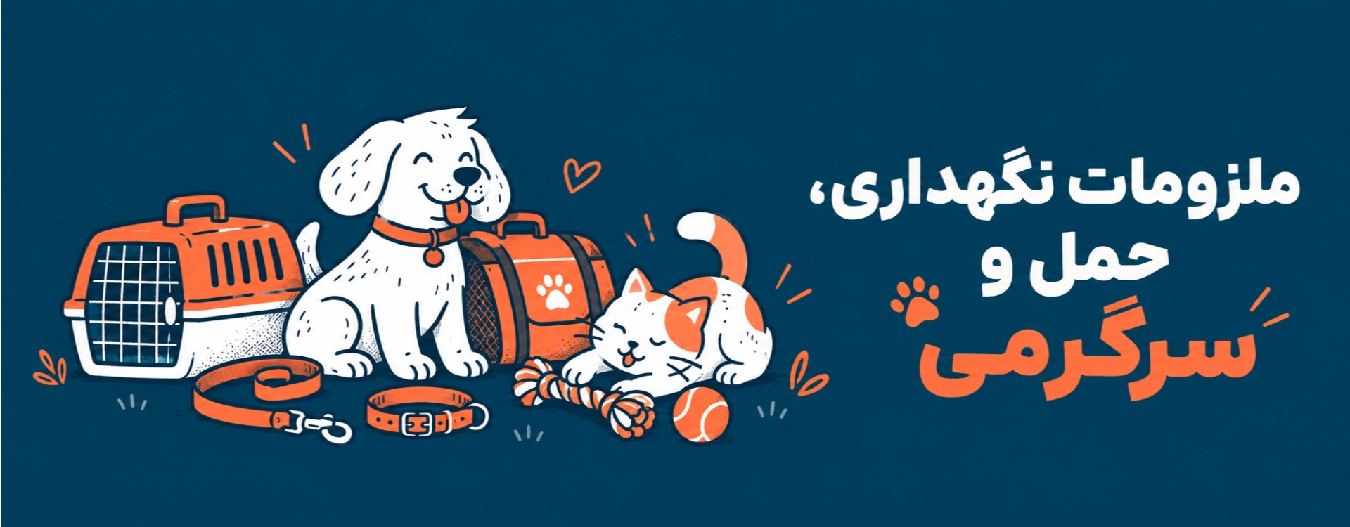 باکس حمل، ساک و ملزومات سفر